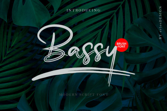 Bassy: A Stylish and Delicate Script Font for Modern Design