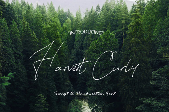 Harvest Curly: A Handwritten Font for Casual and Cozy Designs
